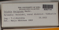 Image Associated With the Occurence